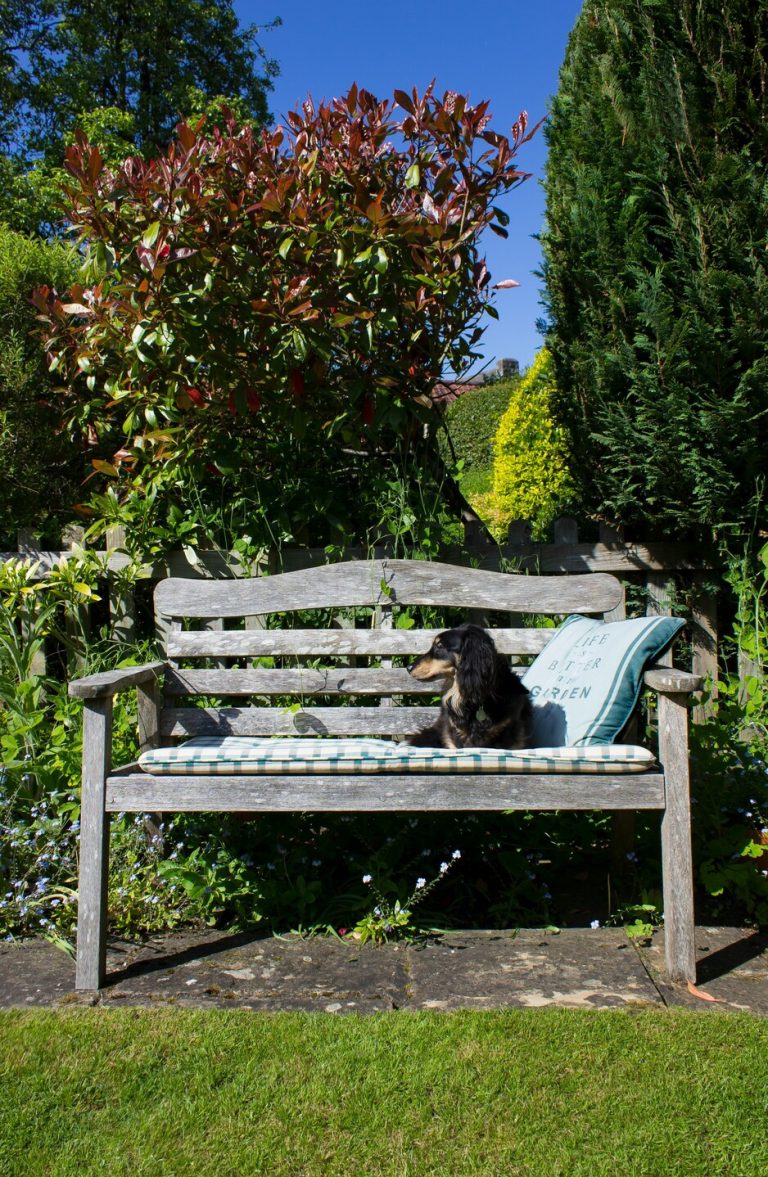 5 Garden Wood Ideas In 2024 With DIY Videos You Should Watch