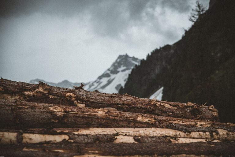 Sawn-vs.-Planed-Timber-Which-is-Right-for-Your-Project